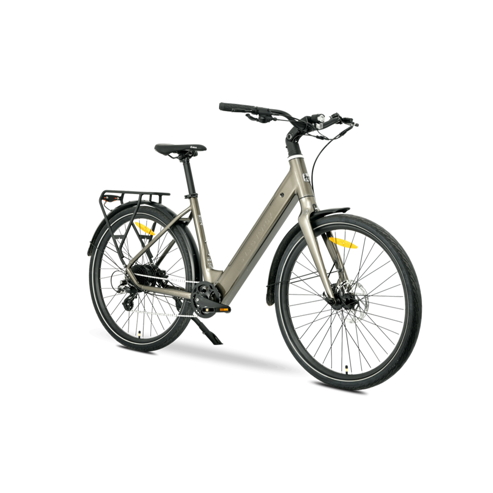 MS ENERGY eBIKE ZORYA BRONZE